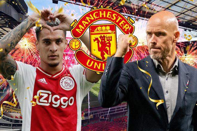 已成为国内 已成为国内