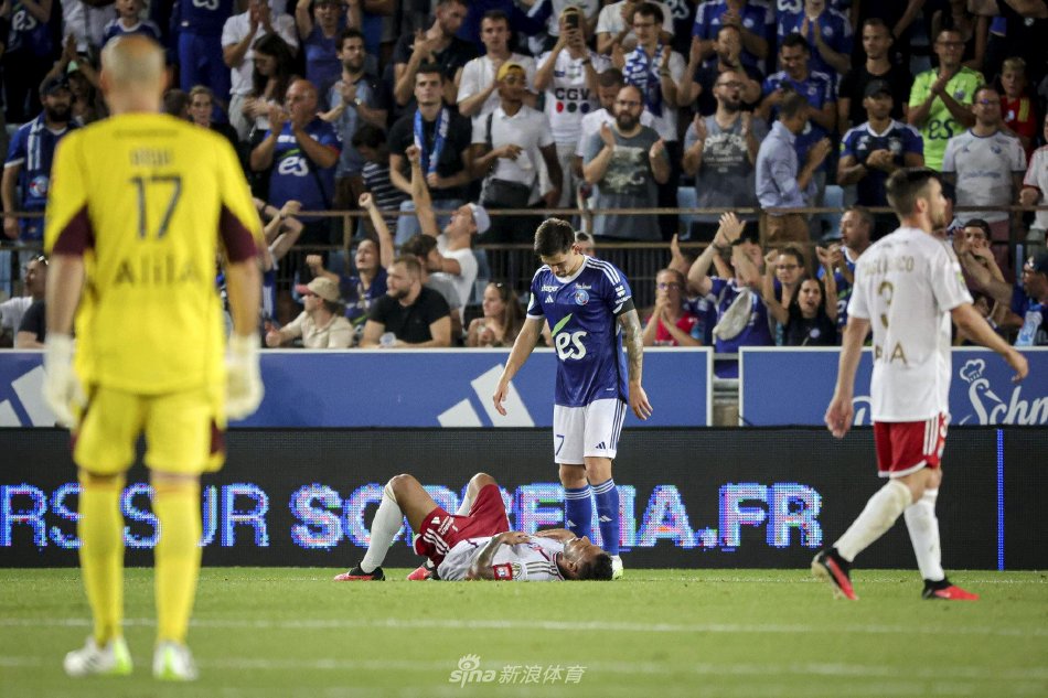 双方不仅互 双方不仅互