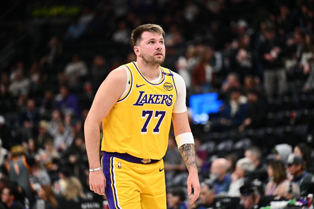 它们的故事 它们的故事